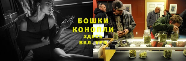 ешки Алексин