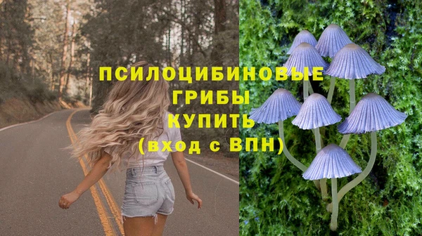 круглые Алзамай