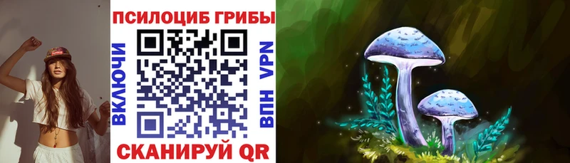 цены   Апрелевка  Псилоцибиновые грибы Psilocybine cubensis 